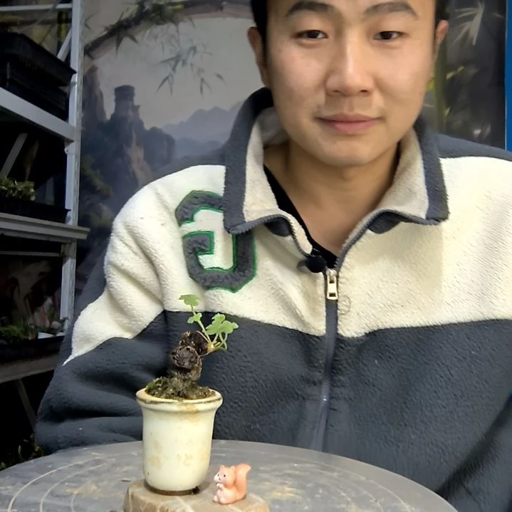 t***k中青园艺一物一拍花124