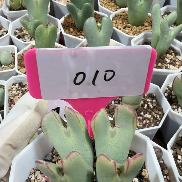 010mmnnnnnnnmnnnnnjnnnnj