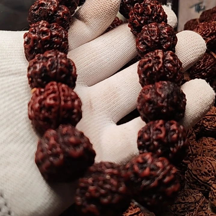 金刚菩提手串五瓣老籽双龙纹