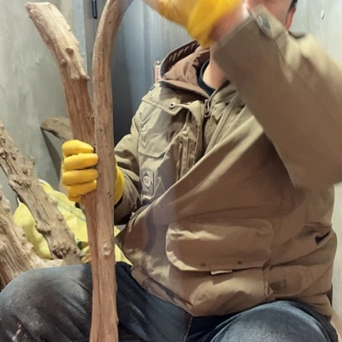 柏木好***字崖柏毛料的