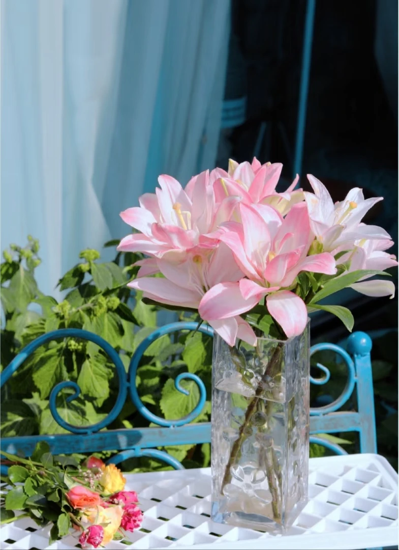 多头宾利--亚百合无香味  藕粉色【颜色以实物为准】