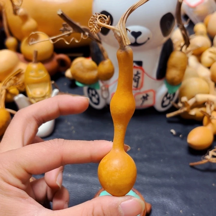 滨*8888888888888888888