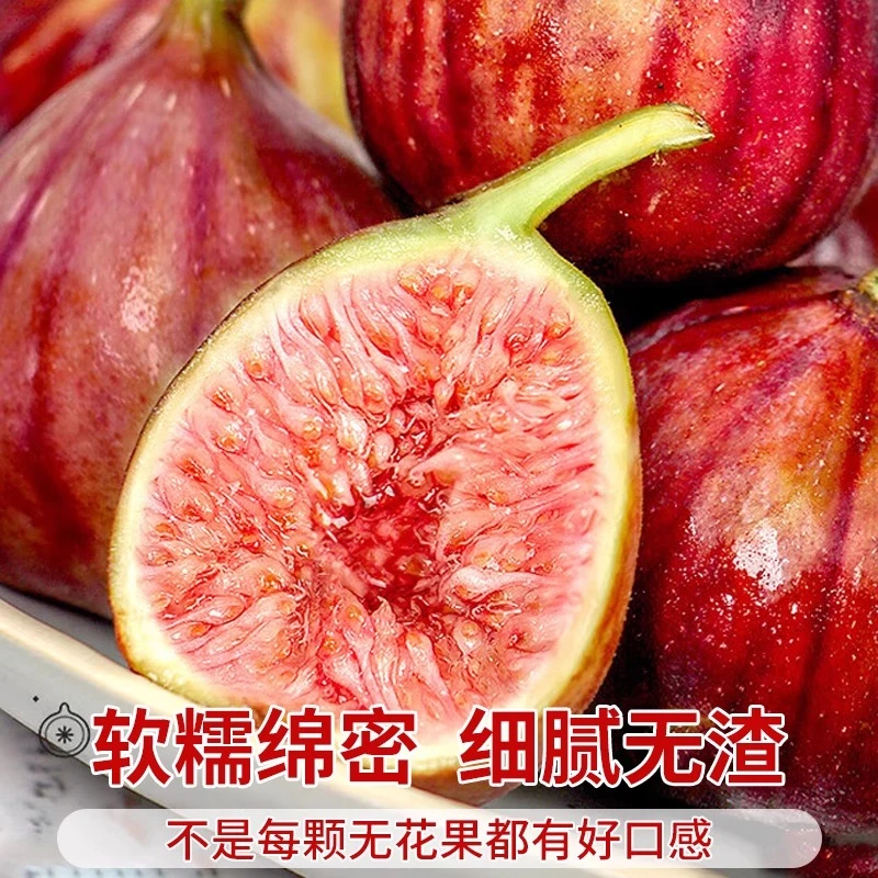 红皮无花果 糖包子 现摘现发 当季新鲜水果 2斤+