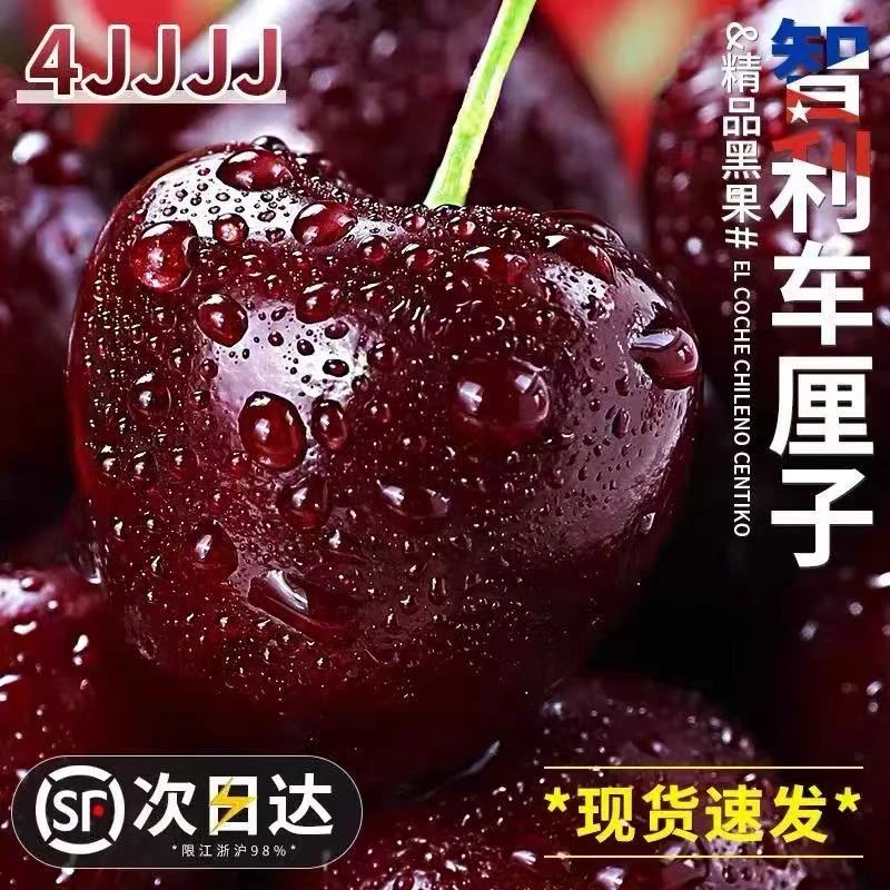 S【今天拍明天到】智利进口桑提娜2-4JD车厘子海运2500g内附果径卡桑提娜樱桃智利共和国