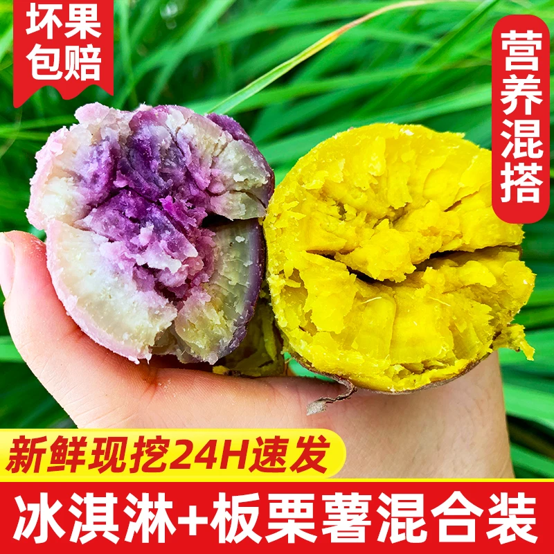【冰淇淋+板栗薯】栗子王番薯组合装3-9斤中果新鲜现挖粉糯香甜好吃