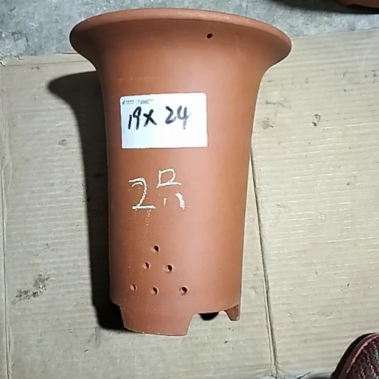 紫砂大红兰花两个