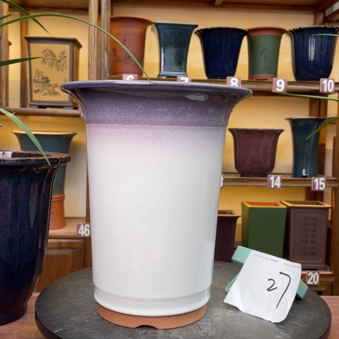 【闪购商品】紫砂花盆兰花45588558555555558