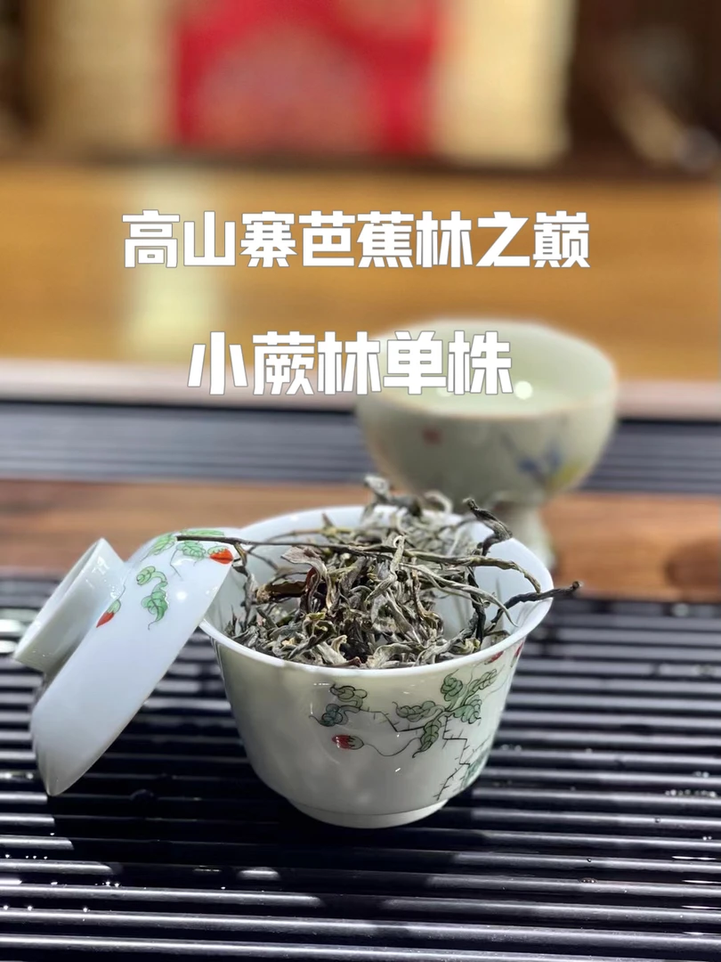 圆世号【标杆品】芭蕉林之巅小蕨林2024年头春生茶50克/罐