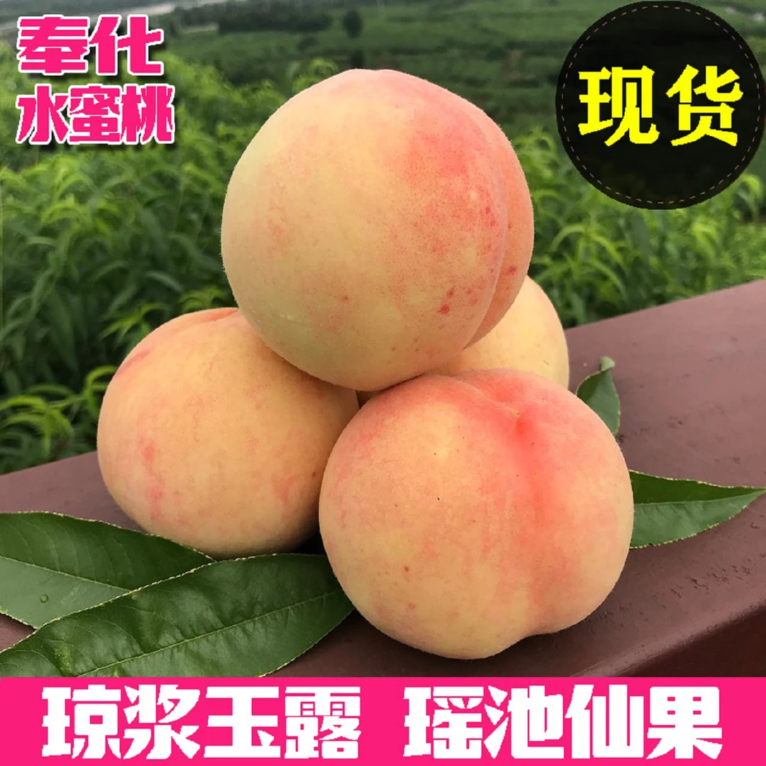 奉化水蜜桃新鲜湖景玉露浙江宁波桃子软5斤大果孕妇水果蜜露桃