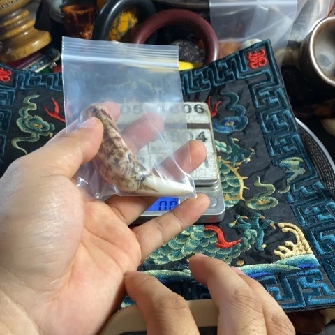 瓷片微*寻呼台的一个小女孩在一