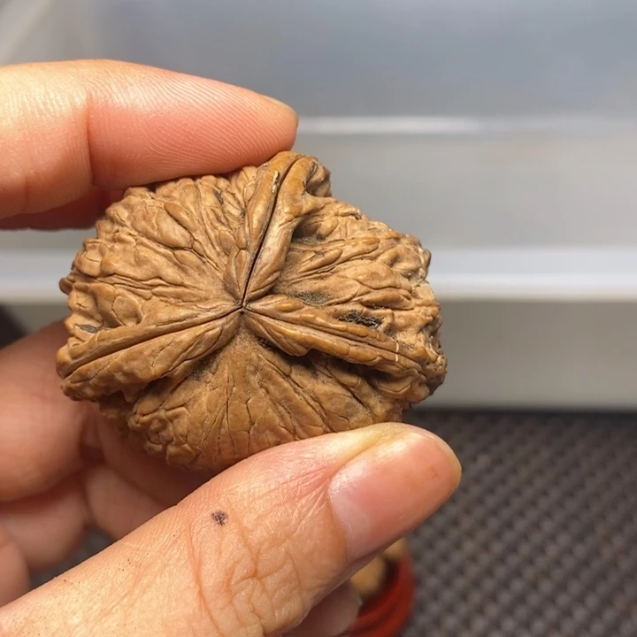 是***辰吊坠文玩核桃文玩核桃异形单只