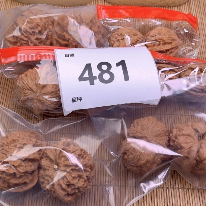 文玩核桃把件481号6对带练手元宝