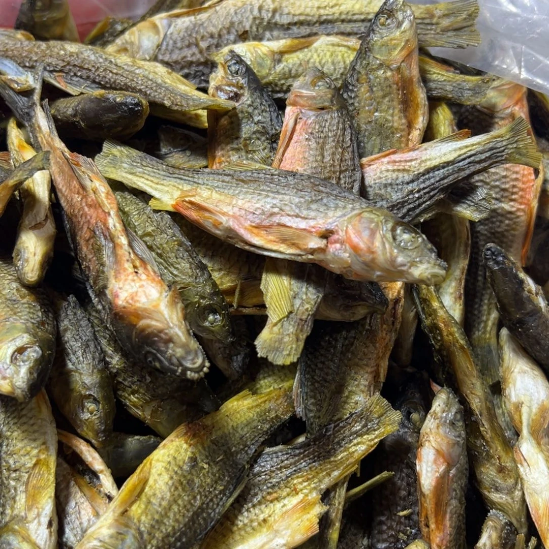 中国大陆中大红腹石斑鱼干1斤装