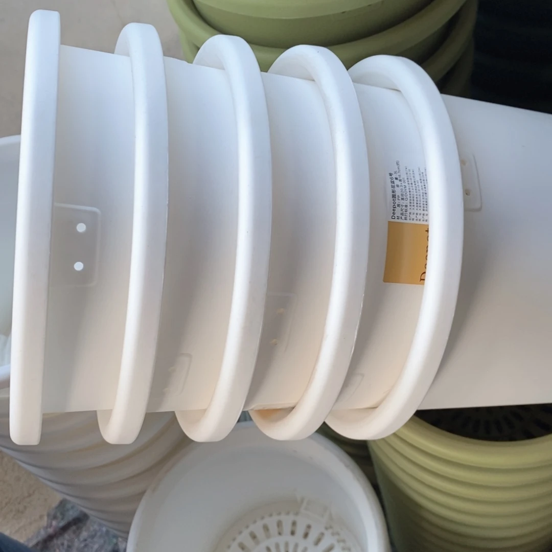 树脂5个爱丽丝6号白色无托