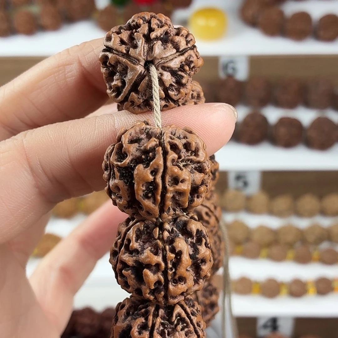 手串金刚菩提原生态精品蜂窝双龙