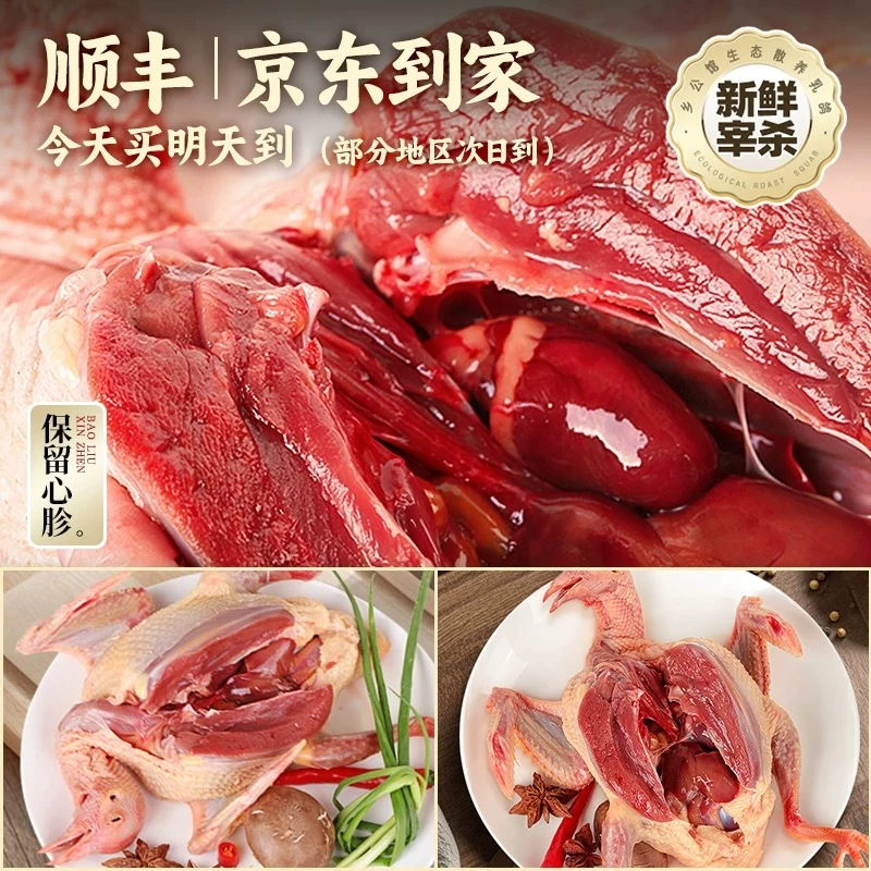 【年货节】农家散养土鸽粮食喂养青年鸽山里新鲜现杀乳鸽顺丰包邮