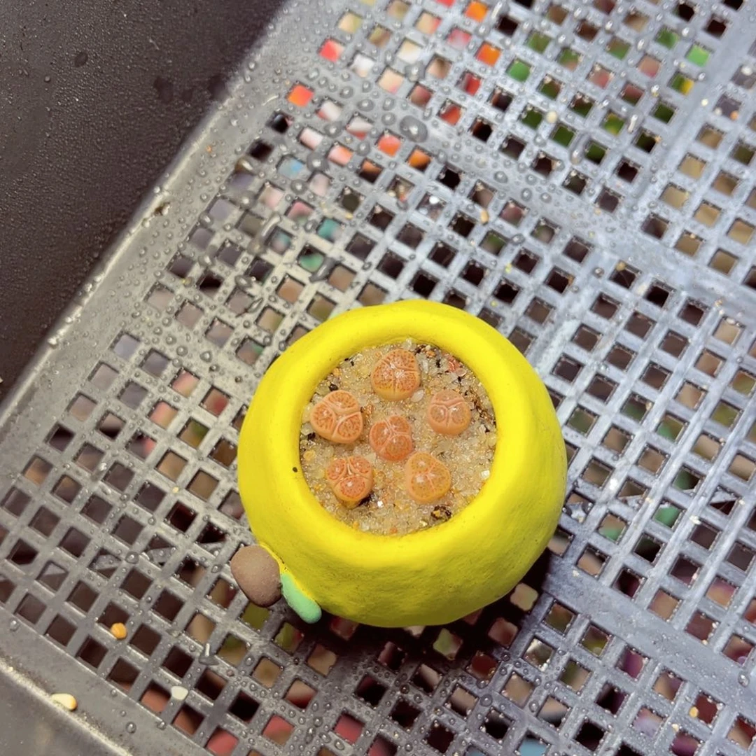 亚*11111111111111111111