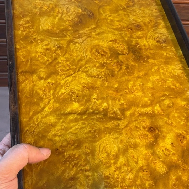 木黄金樟留疤超大托盘