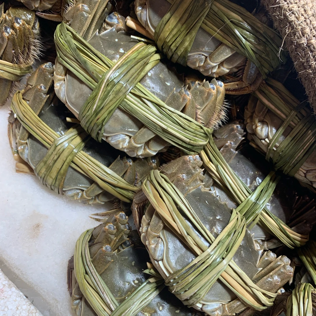 2.5两母大闸蟹69元4只
