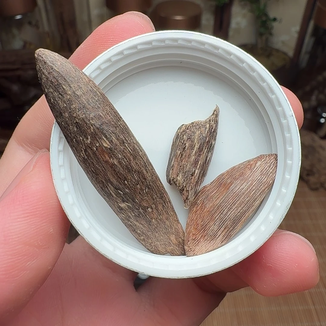 沉香香港西贡棋韵瓜子