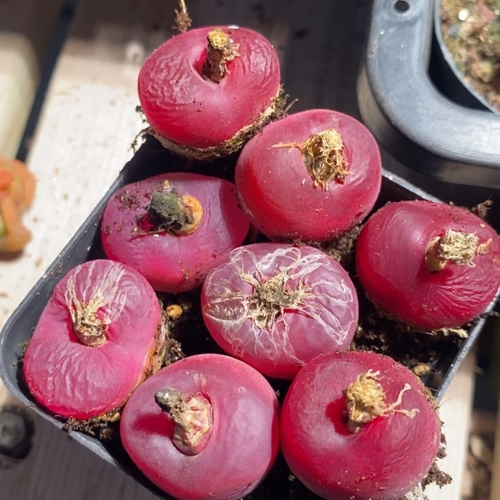 22154一组一组一组