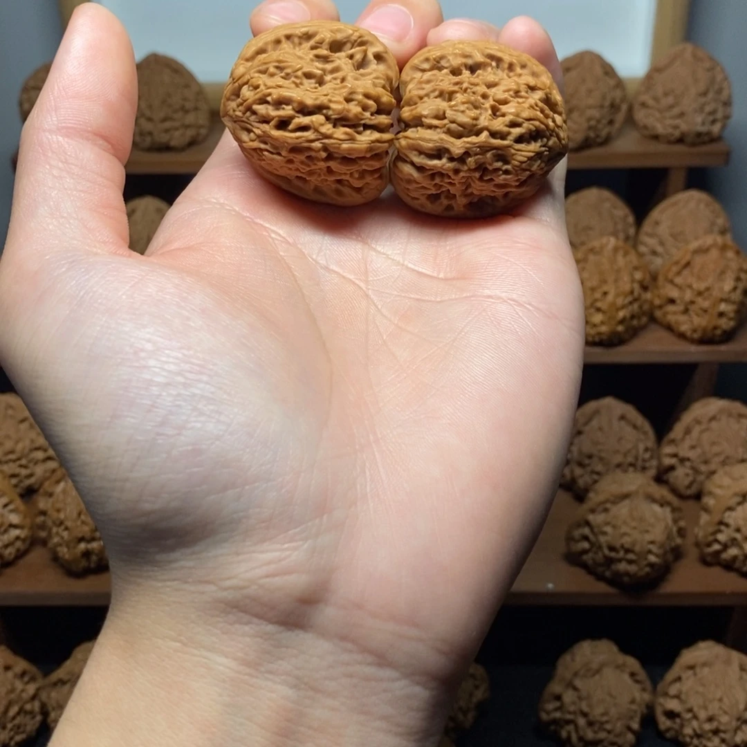 核桃南疆石35尺全品对歪鹰嘴