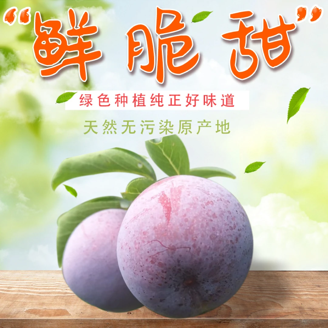 二丫家五月脆凤凰李新鲜应季水果脆甜多汁脱骨