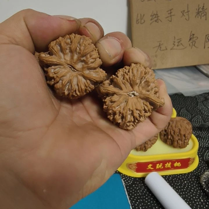全品满天星底部不好看