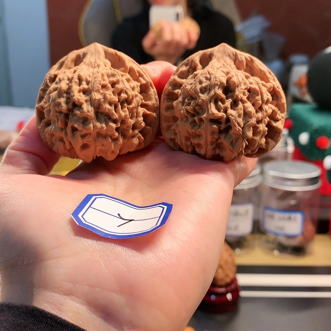 【闪购商品】吊坠文玩核桃龙鼎官帽48尺