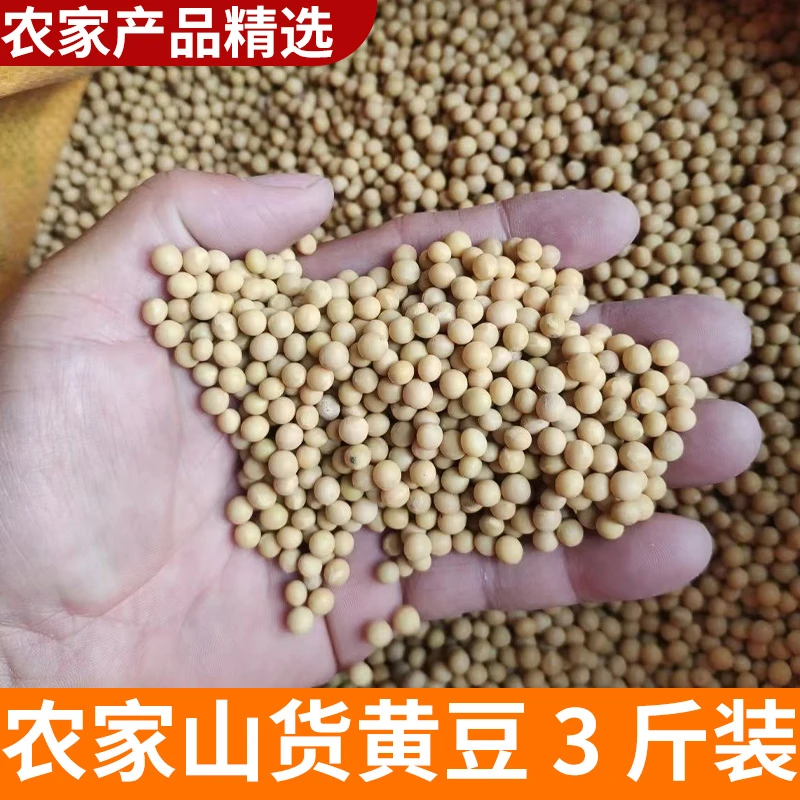 农家黄豆1500克 3斤装 山村 山货农家自产乡村农产品土特产做豆浆