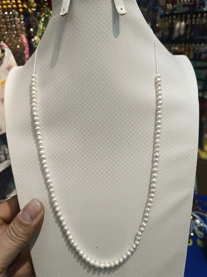 不锈钢项链 非常美丽的珊瑚。