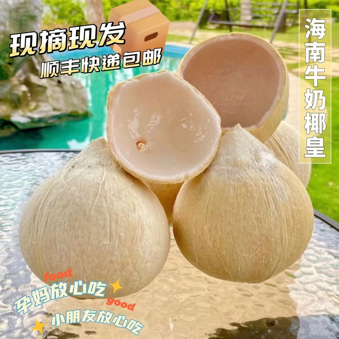 【海南顺丰直发】海南奶椰 /椰皇/牛奶椰/椰青/新鲜海南椰子/ 精品