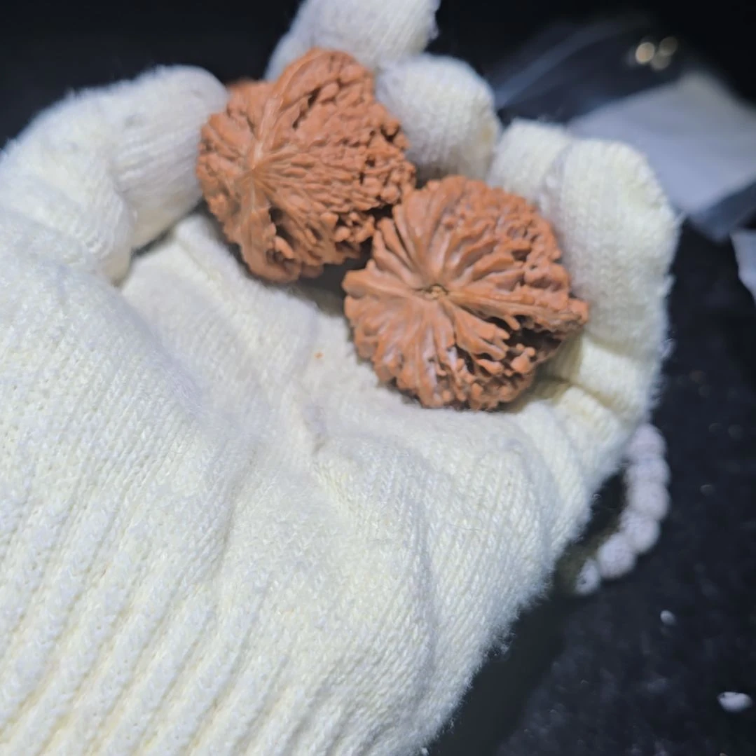 鹏****核桃哈哈哈哈哈哈哈哈哈