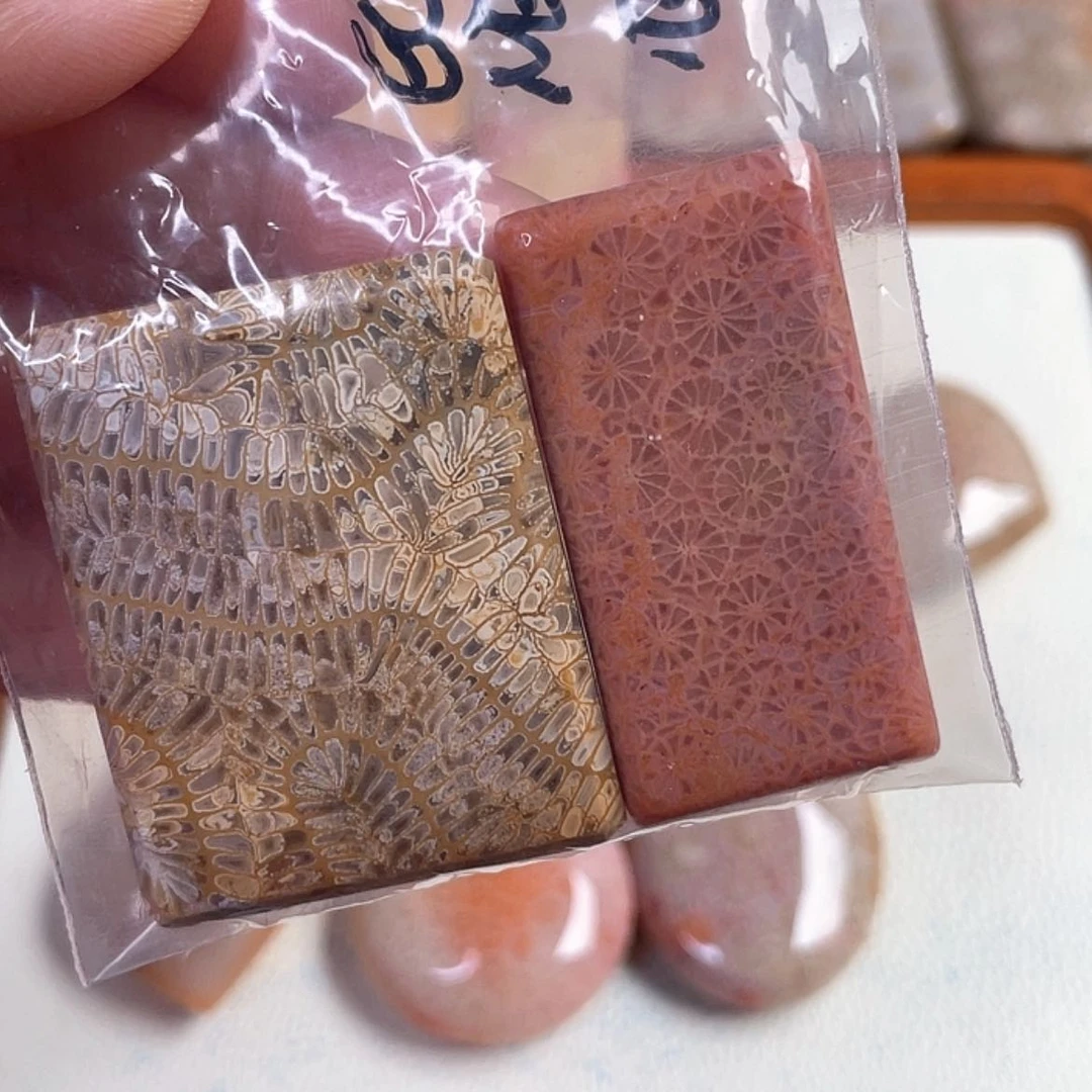 【闪购商品】硅化玉吊坠(赠链)未镶嵌乌****子