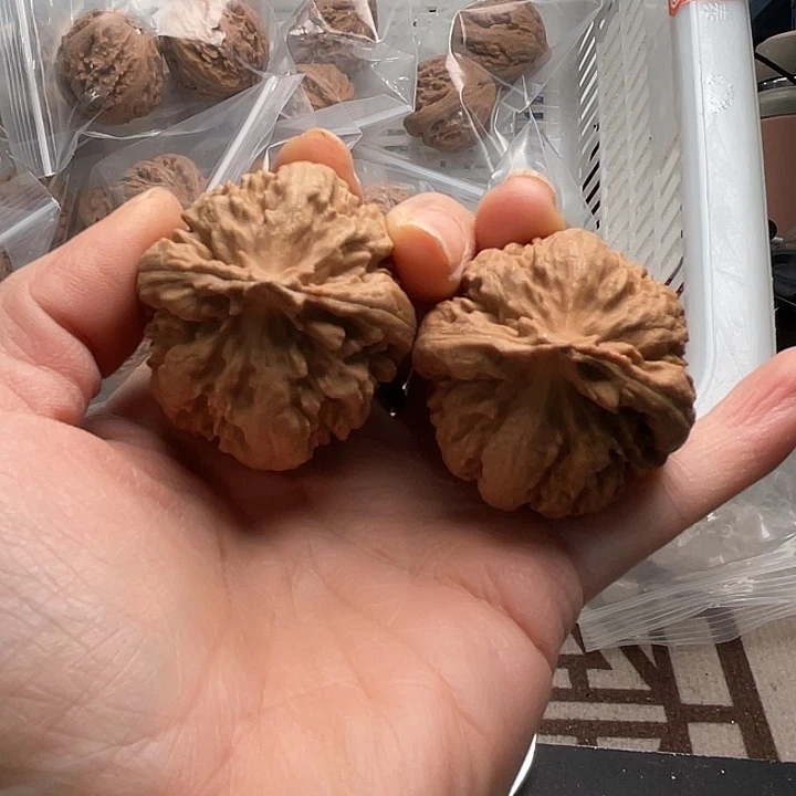 文玩核桃手串霸王龙35.8……