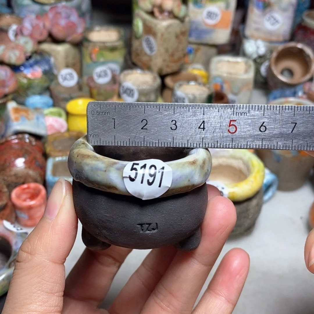 拍5送一个小礼物