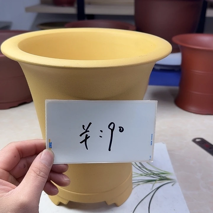 春秋花盆精品兰盆
