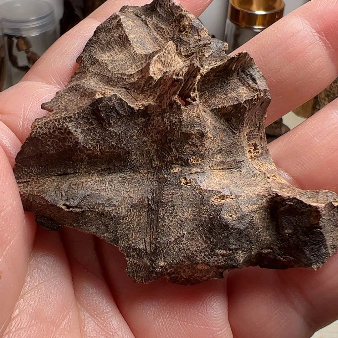 沉香碎屑沉香海南板头5.3克