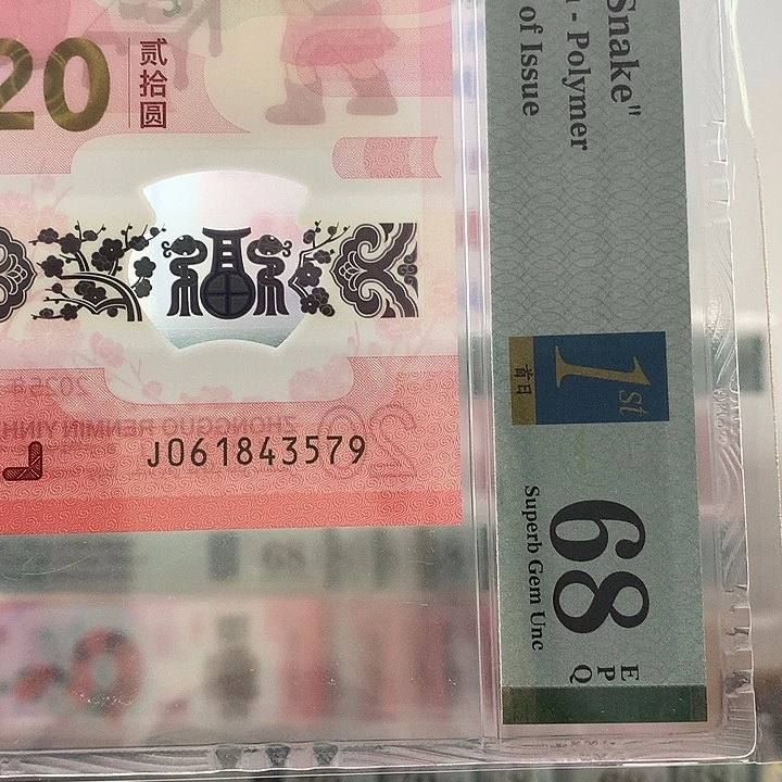 塑料乱蛇，首日，3579