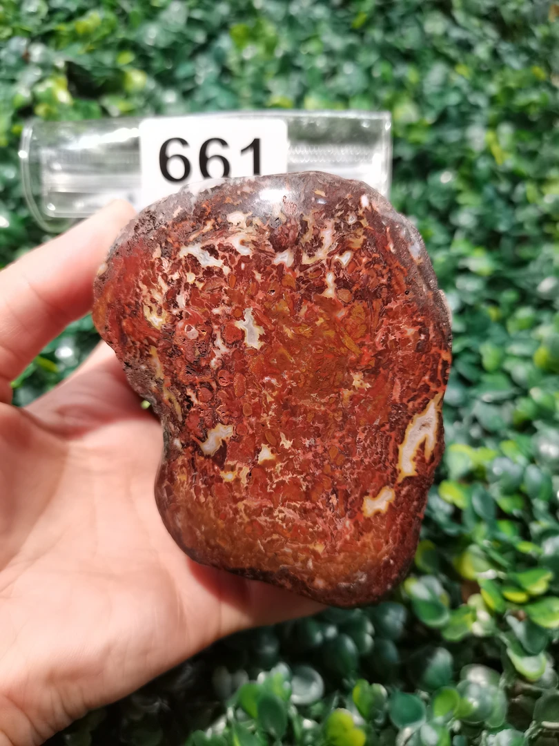 天然北票硅化玉原石