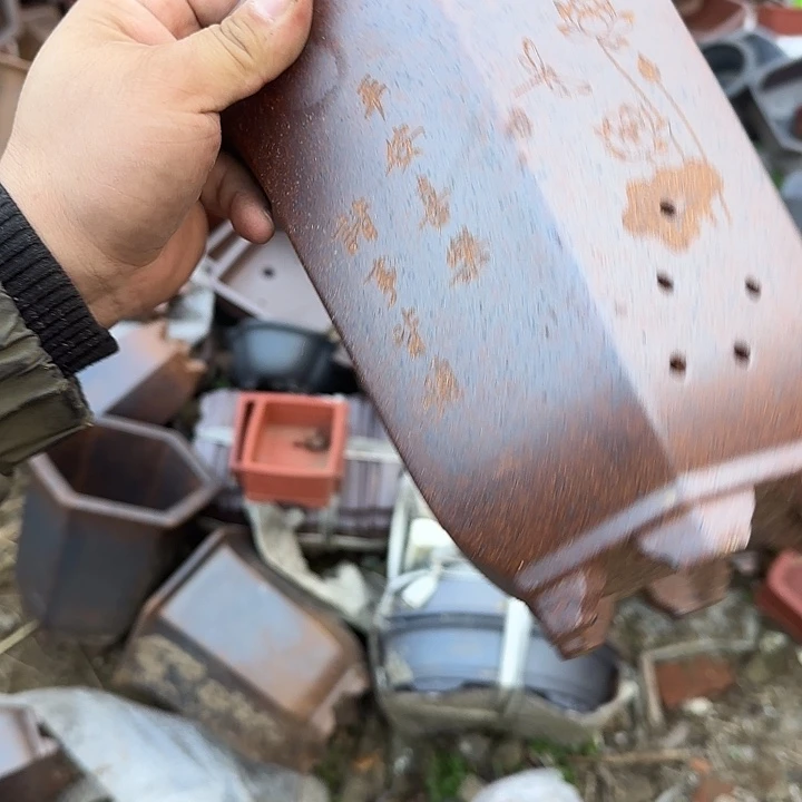 是一个不知名作家与著名导演兼电影演员们