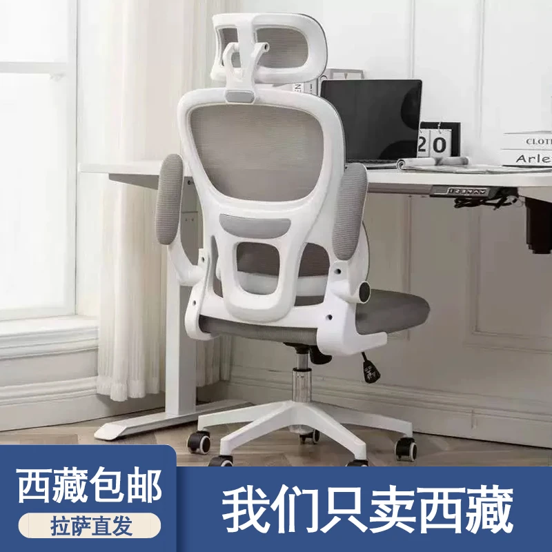 西藏包邮家用电脑椅办公室会议椅中小学生人体工学椅学习座椅