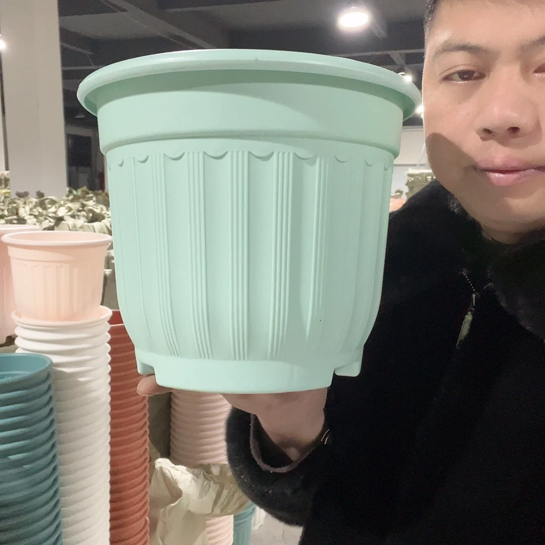 树脂罗马240绿3个带托