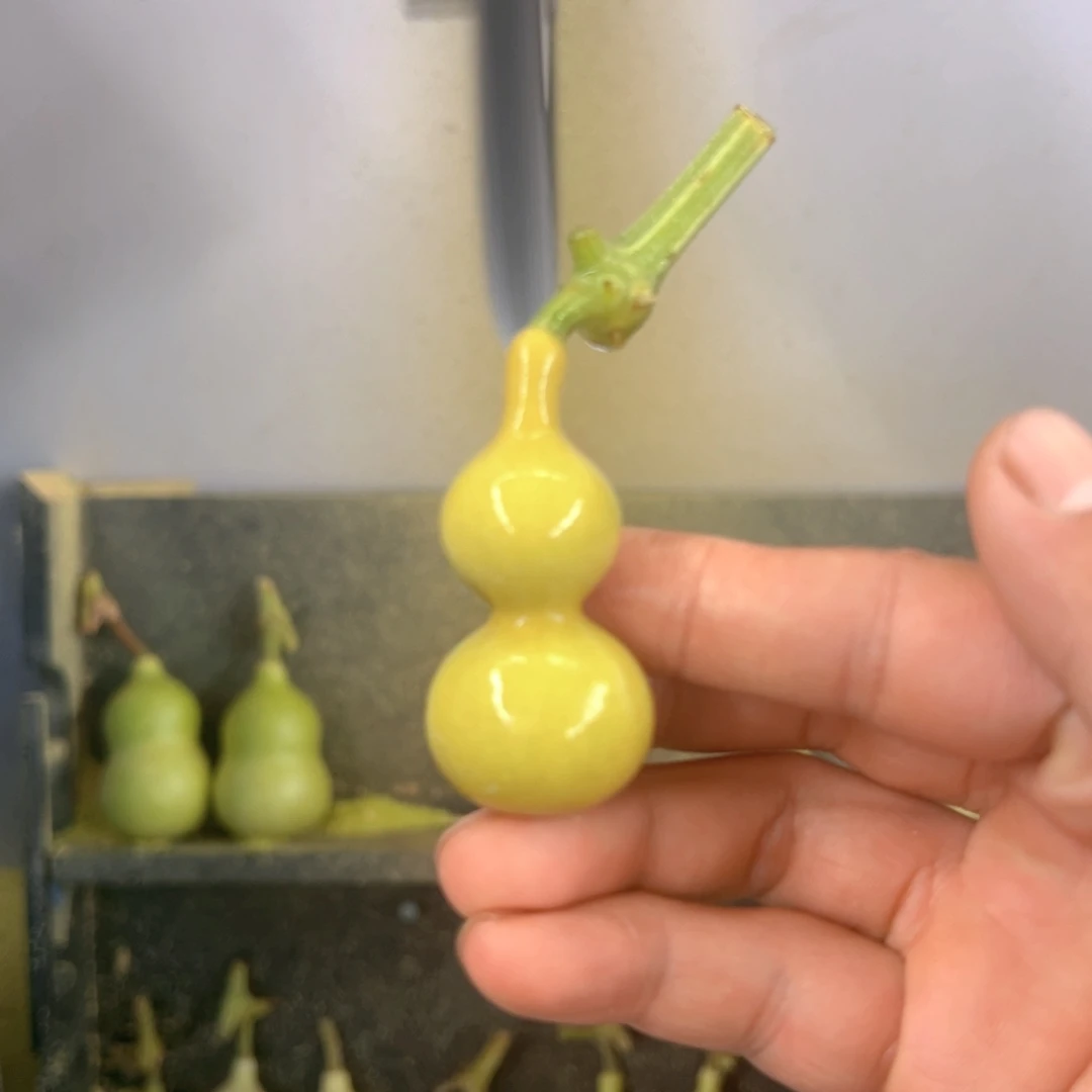 踏***征天津嘴儿葫芦葫芦