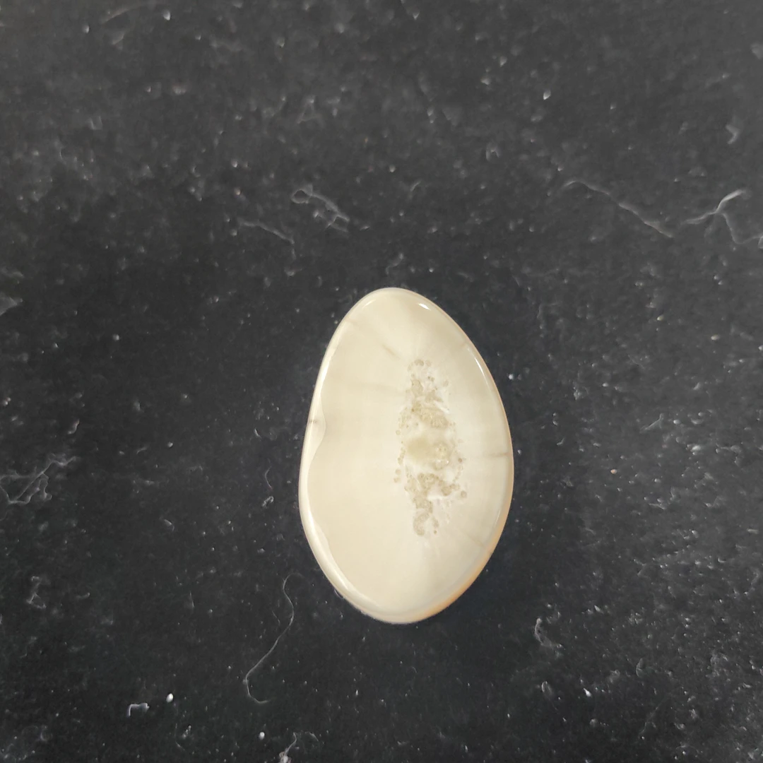 猛犸猛犸虬饼子WT592