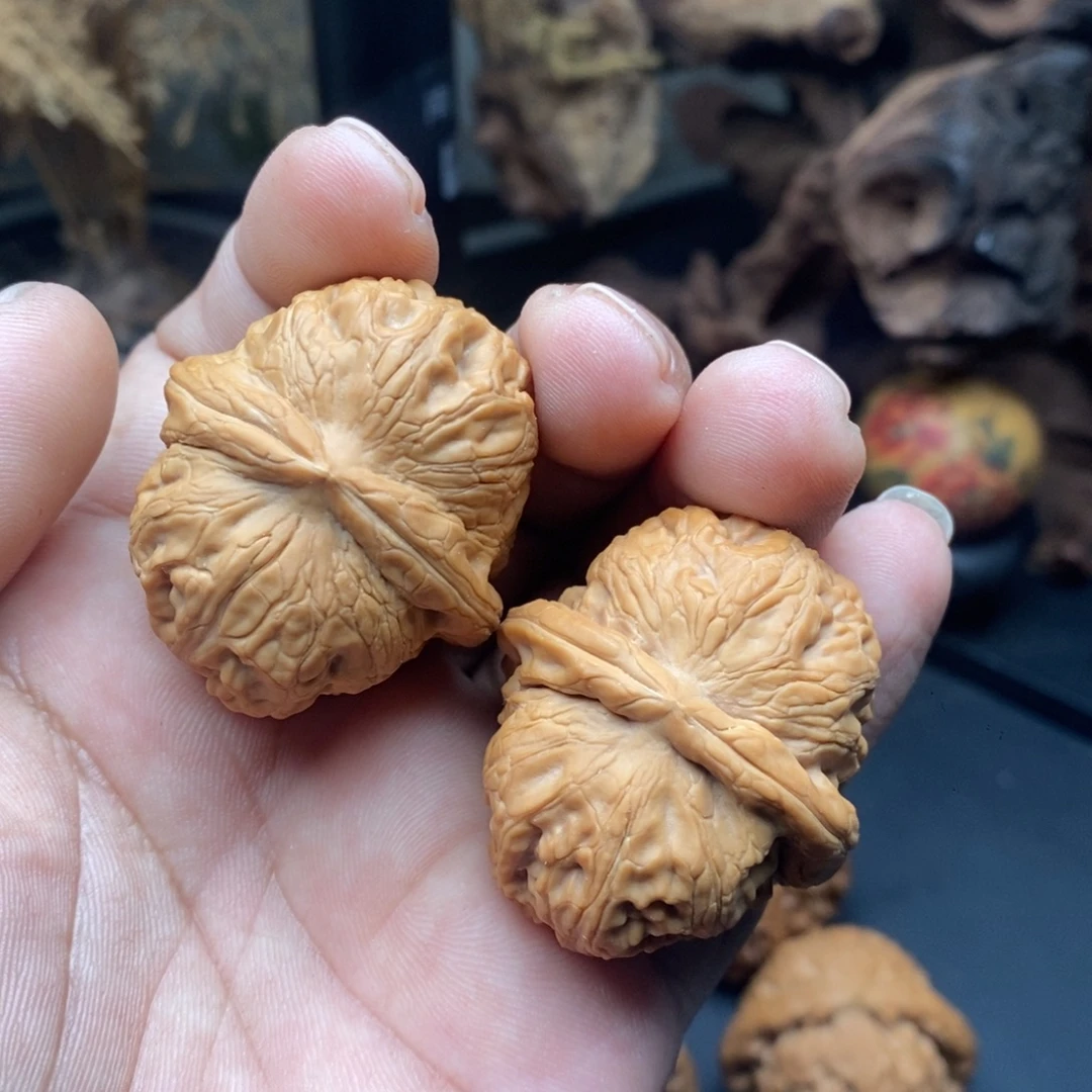 核桃全品元宝……………………