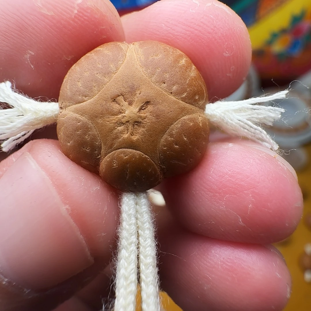 最***物17肌肉五星，一物一图