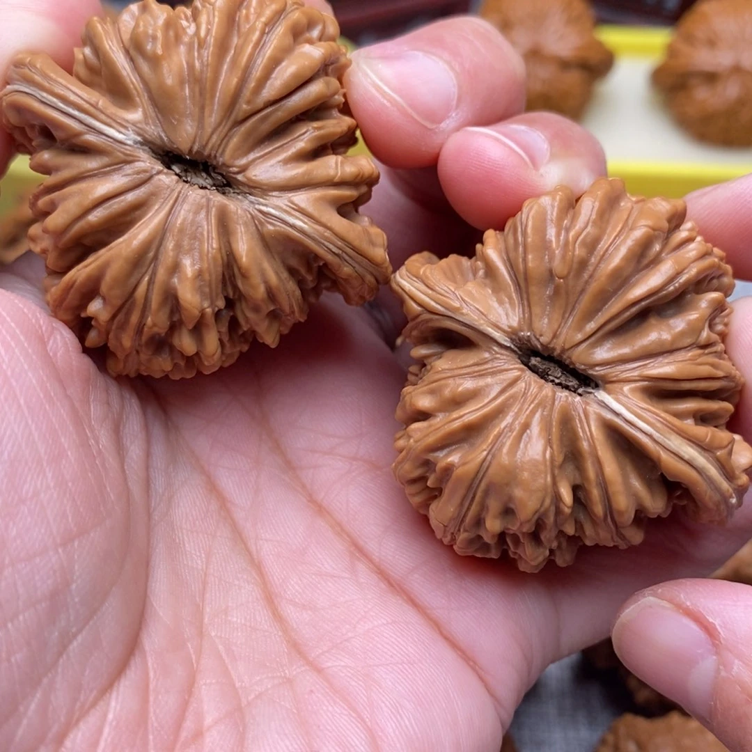 文玩核桃把件皮*儿全品毕业汉高楼46尺