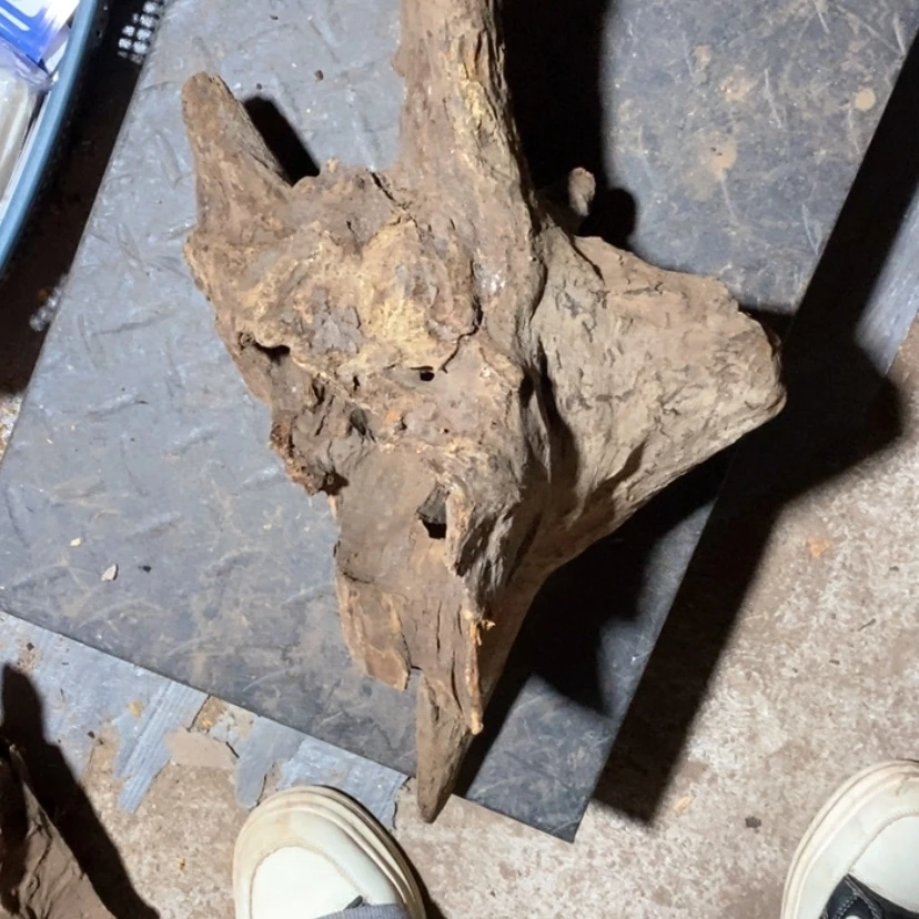 【闪购商品】把件贡木扣****?私人定制