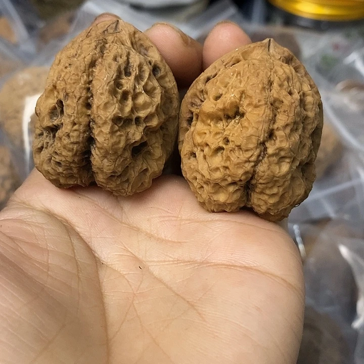 核桃云南铁核桃基地16